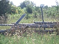 [Picture: Overgrown fence 2]