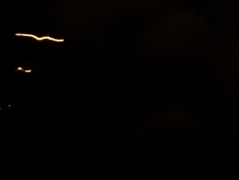 [picture: Night lines 2]