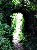 [picture: Secret Garden]