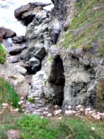 [picture: Cave mouth]