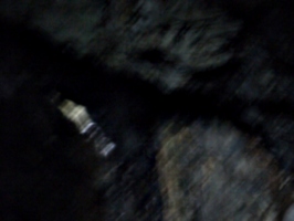 [picture: Dark blur]