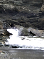 [picture: Tide spray 2]