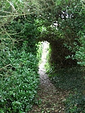 [Picture: Secret Garden 2]