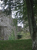 [Picture: Restormel Castle 46: Looking up]