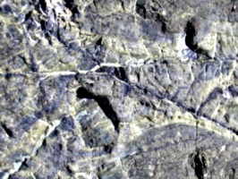 [picture: Rock texture]