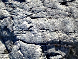 [picture: Rock texture 3]