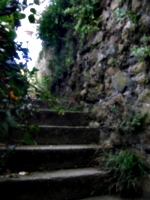 [picture: Stairs to the light 2]