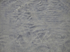 [picture: Sand ridges texture]