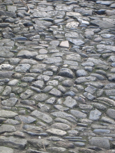 [Picture: Cobbled path]
