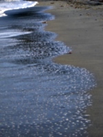 [picture: Bubbles in the sand 2]