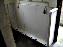 [picture: Porthallow Public Toilet 3]