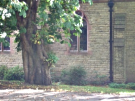 [picture: Church with tree]