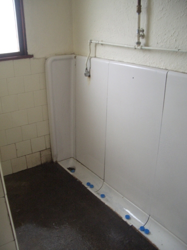 [Picture: Porthallow Public Toilet 2]