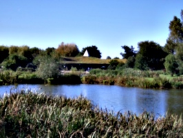 [picture: Bird centre]