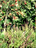 [Picture: ]