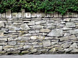 [picture: Stone wall with box hedge]