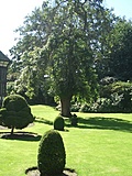 [Picture: Trees]