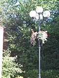 [Picture: Lamp-post with flowers]