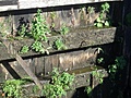 [Picture: Canal lock gates for panorama: 17]
