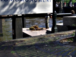 [picture: Homomonument 2]