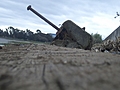 [Picture: Driftwood 2]