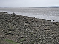 [Picture: rocks on the shore]