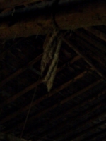 [picture: Rope in the barn 4]