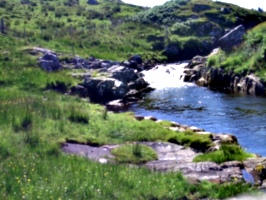 [picture: Babbling brook]