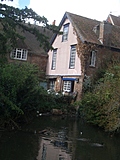 [Picture: Dirty water with ducks]