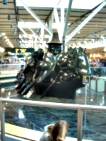 [picture: Spirit of Haida Gwaii]