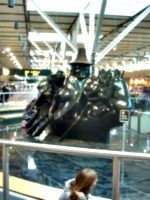 [picture: Spirit of Haida Gwaii 2]