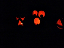 [picture: Halloween Pumpkins 2]
