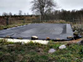 [picture: We closed the swimming-pool]