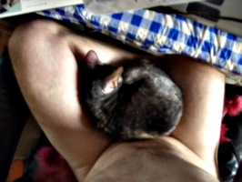 [picture: Roswell on my lap]