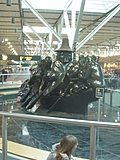 [Picture: Spirit of Haida Gwaii 2]
