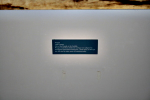 [picture: Pirogue (caption)]