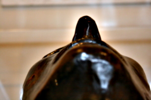 [picture: The Death Mask of Napoleon 6]