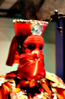 [picture: Mardi Gras Mask]