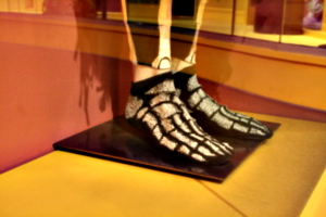 [picture: Skeleton Socks]