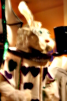 [picture: White Rabbit Mardi Gras Costume 1]