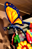 [picture: Giant butterfly]