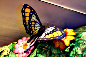 [picture: Another giant butterfly 2]