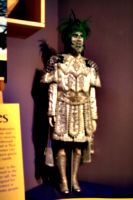 [picture: New Orleans Mardi Gras Costume 1]