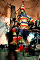 [picture: Jester in a tree]