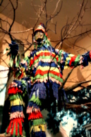 [picture: Fool in the tree]