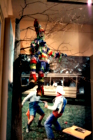 [picture: Fool in the tree]
