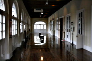 [picture: Museum hallway 1]