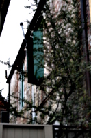 [picture: Creeper 1]