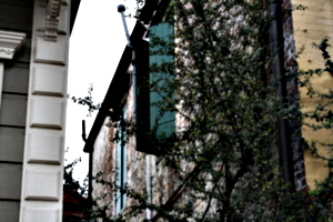 [picture: Creeper 2]