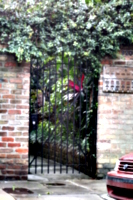 [picture: City Garden]
